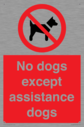no-dogs-except-assistance-dogs~